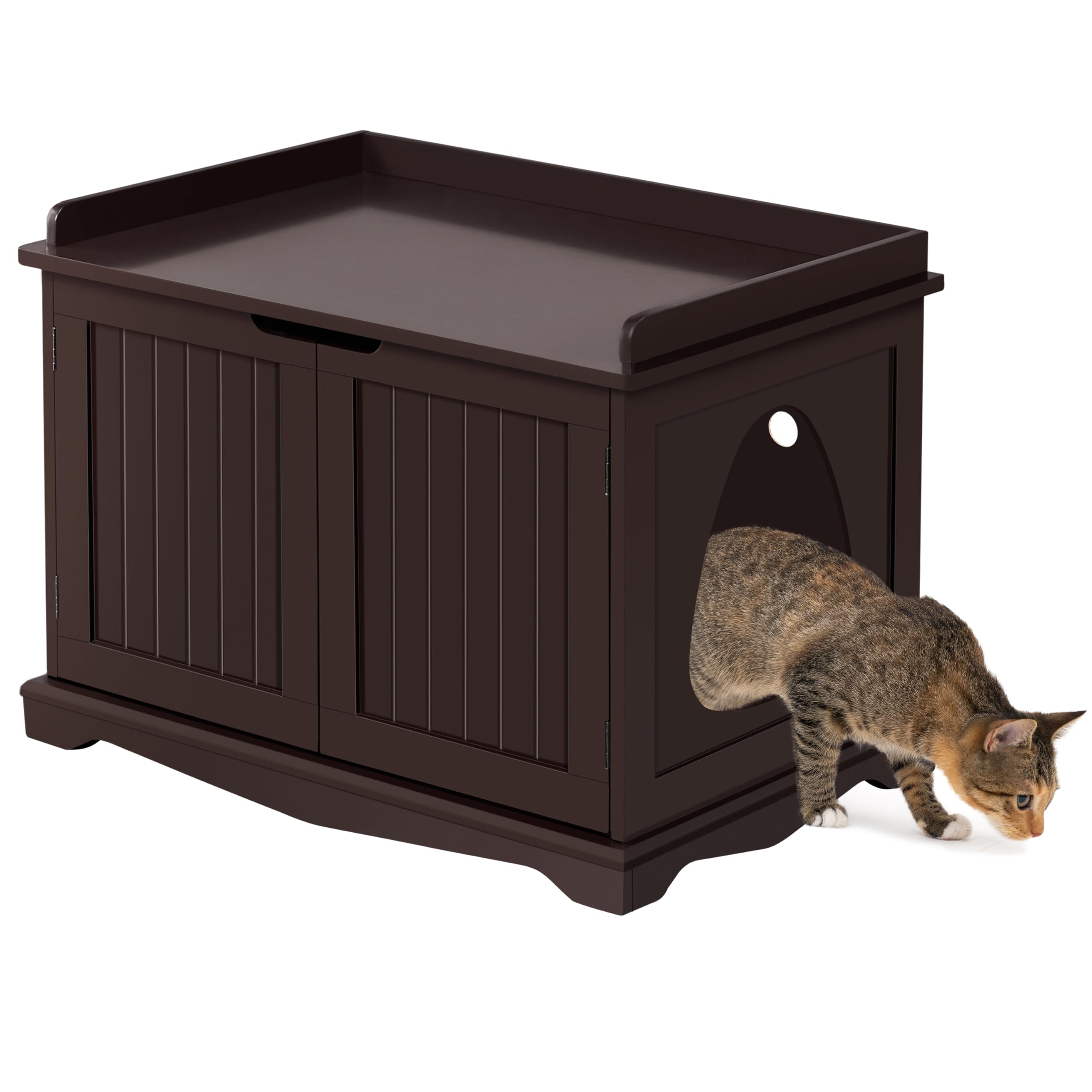 Hidden Cat Litter Box