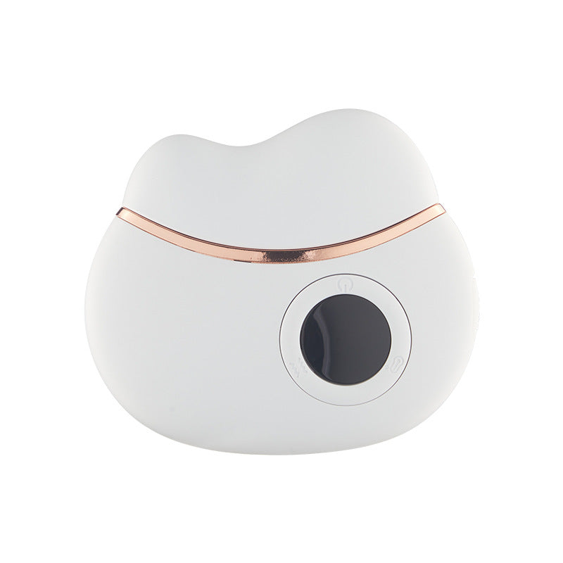 Electric Gua Sha Massager for Face Lifting and Wrinkle Care